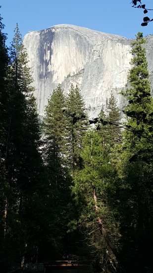 half dome behind the campground