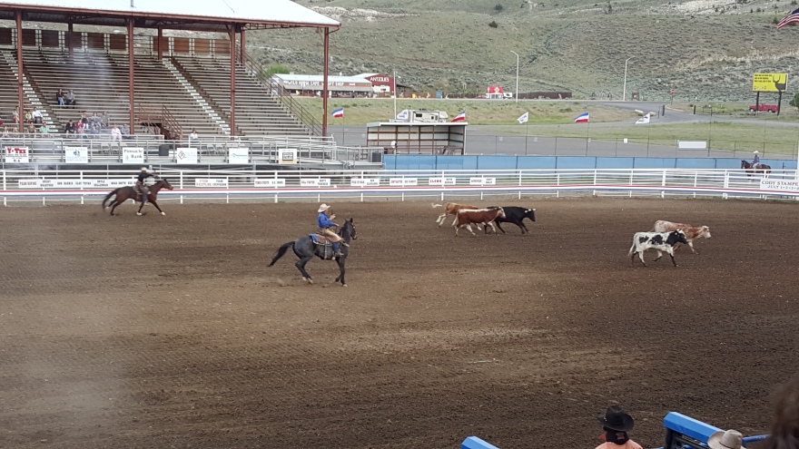 rodeo cowboys in ring